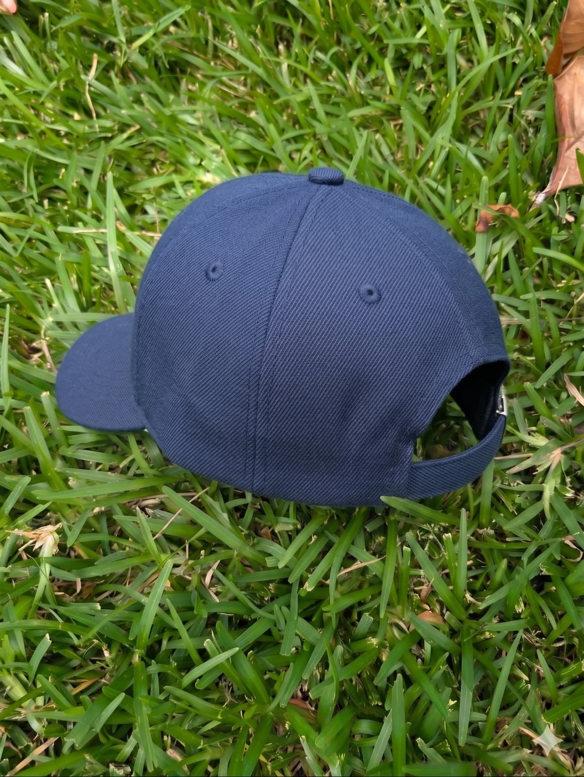 Back view